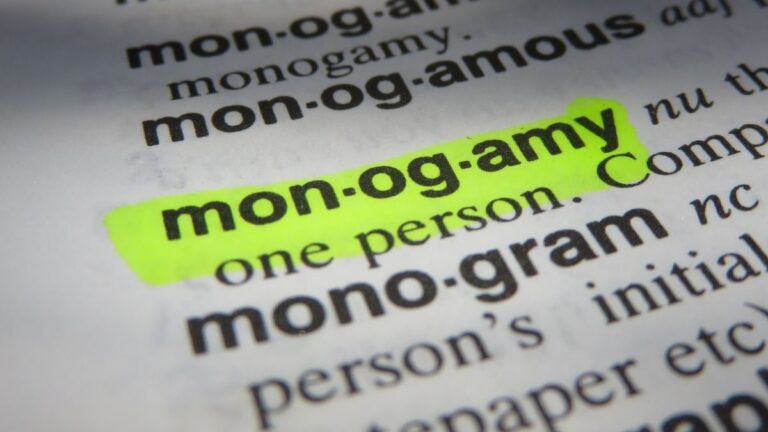 een focus op de woordenboekdefinitie van monogamie